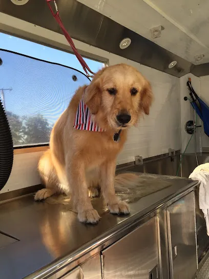 Doggie Glam Mobile Pet Grooming — photo from their website