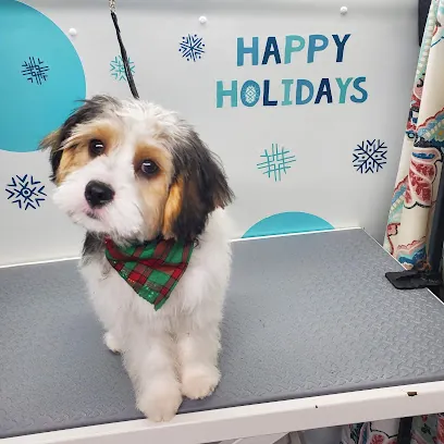 The Pampered Pet Mobile — photo from their website