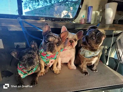 Oso Mobile Dog Grooming — photo from their website