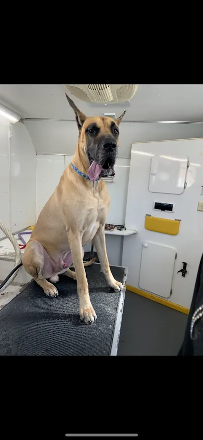 Ooh la la Mobile Pet Spa — photo from their website