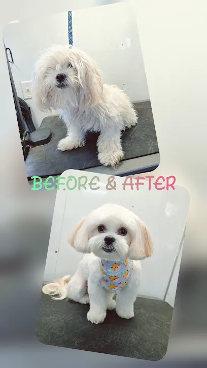 Master Cuts Mobile Pet Spa — photo from their website