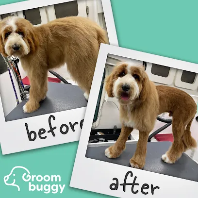 Groombuggy Mobile Dog Grooming — photo from their website