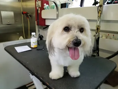 Sudsy Paws Mobile Dog Grooming — photo from their website