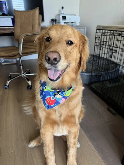 Lux Pup Mobile Pet Grooming — photo from their website