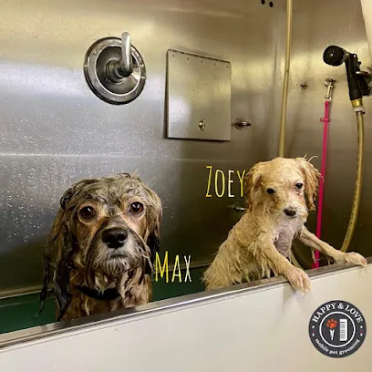 Happy And Love Mobile Pet Grooming — photo from their website