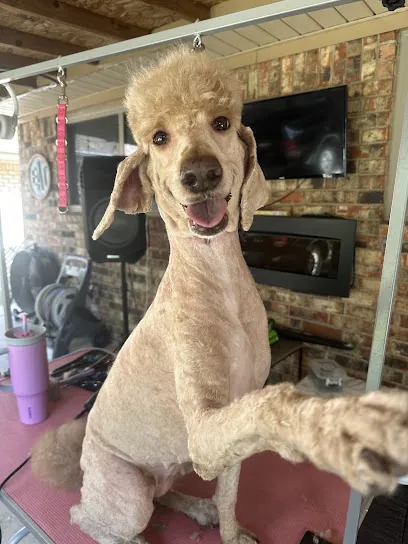 Boop N' Zoom In-Home Dog Grooming — photo from their website