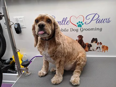 Gentle Paws Mobile Dog Grooming — photo from their website