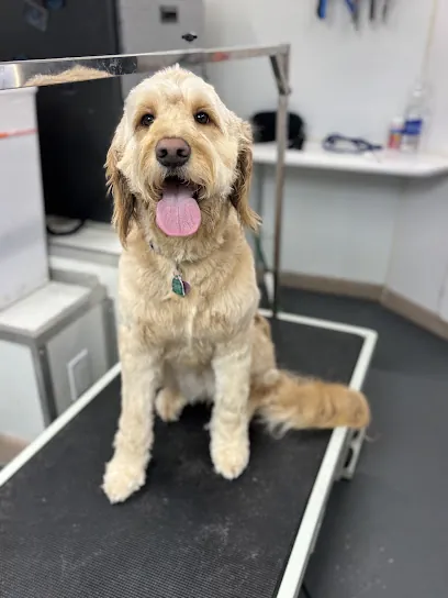 A Fluff Above Mobile Grooming. — photo from their website