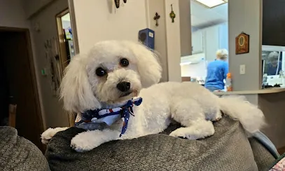 Rebel Clips - Mobile Dog Grooming - Dog Nail Trims — photo from their website