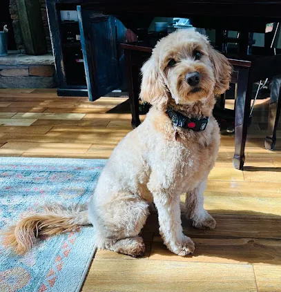Maddie's Mobile Makeovers LLC — photo from their website
