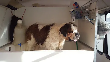 K-9 Designs Mobile Dog Grooming — photo from their website