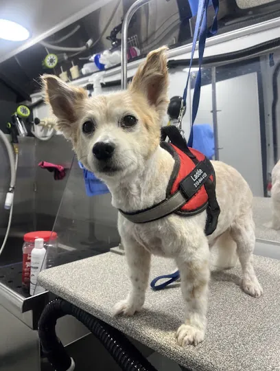 The Good Dog Mobile Grooming — photo from their website