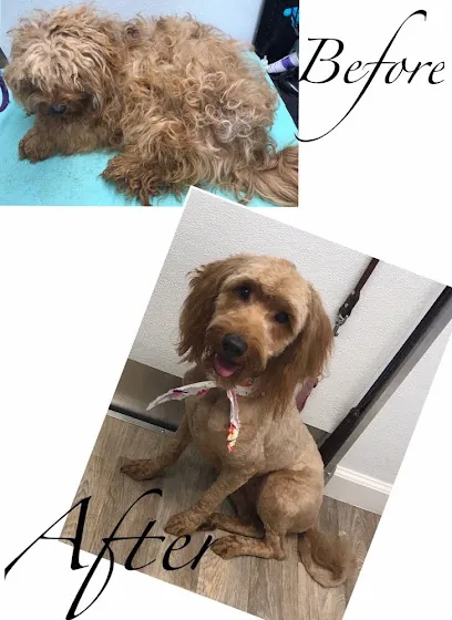 Spoiled Rotten Mobile Grooming — photo from their website