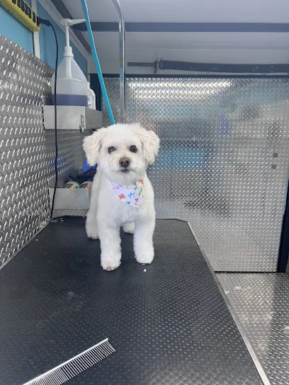 Krissy's Mobile Paw Spa — photo from their website