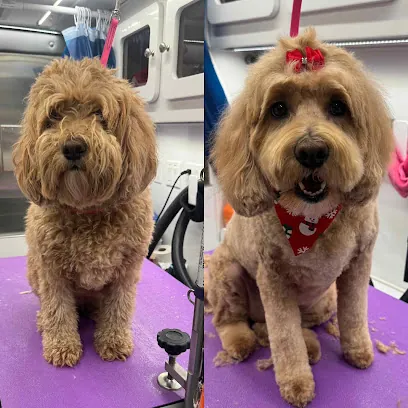 Dapper Dog Mobile Spa — photo from their website