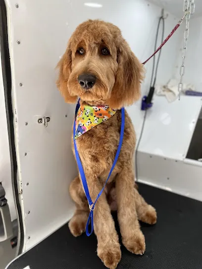 Mobile Pet Dog Grooming Homestead Fl — photo from their website