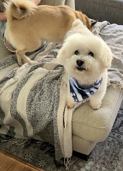 Groomingdales Mobile Grooming — photo from their website