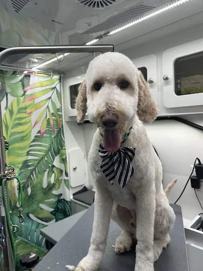Furst Coast Mobile Paw Spa — photo from their website