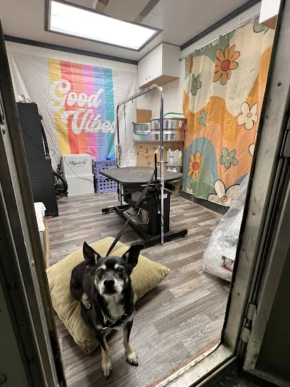 Howloween Mobile Grooming — photo from their website
