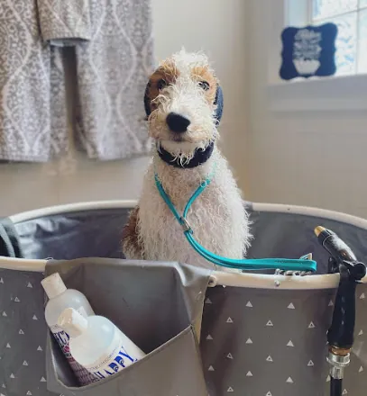 Diamond in the Ruff Mobile Grooming LLC — photo from their website