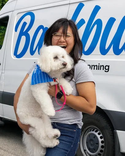 Barkbus Mobile Dog Grooming — photo from their website