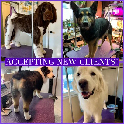 House Call Dog Grooming by Jenn LLC — photo from their website