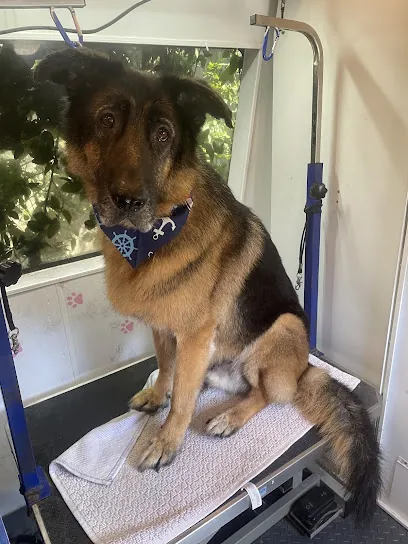 Paws At Play Mobile Dog Grooming — photo from their website