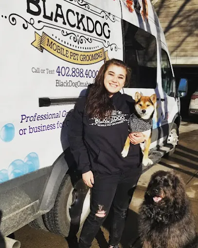 BlackDog Mobile Pet Grooming — photo from their website