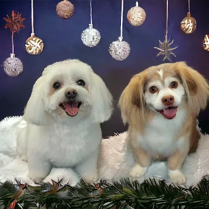 Bubbles & Bows Mobile Dog Grooming — photo from their website
