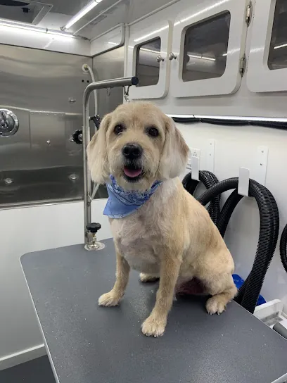 Pawzitive Vibez Mobile Grooming — photo from their website