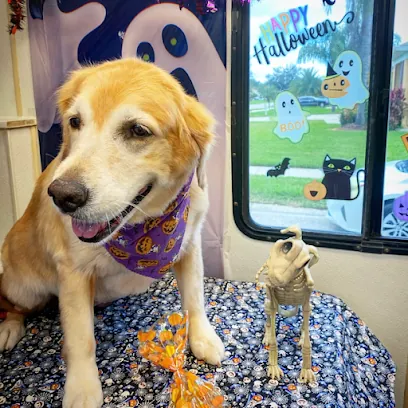 BUBBLES N' PAWS MOBILE DOG GROOMING DR. PHILLIPS — photo from their website