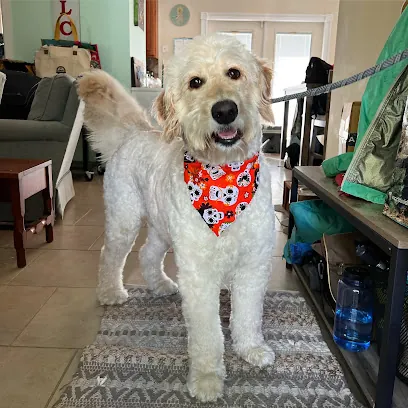 Holy Hounds! LLC (mobile) — photo from their website