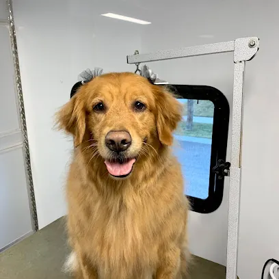 Groomingtails mobile dog grooming — photo from their website