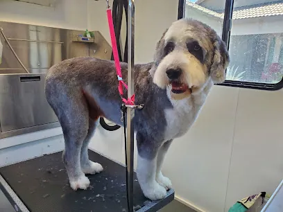 Mikara Mobile Grooming — photo from their website