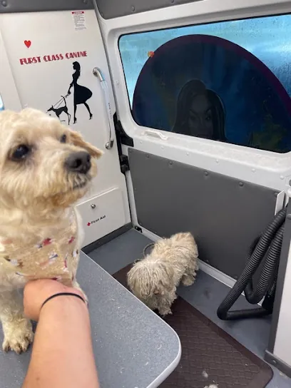 k9 Cosmetology Mobile Pet Grooming — photo from their website