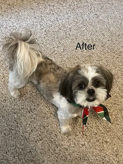Dawg Gone It Mobile Grooming — photo from their website