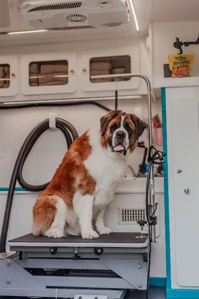 Pups Mobile Spa — photo from their website