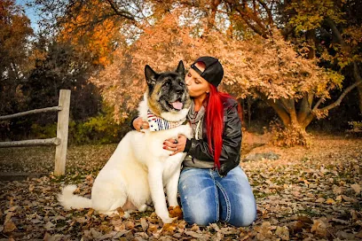 Lavish Tails — photo from their website