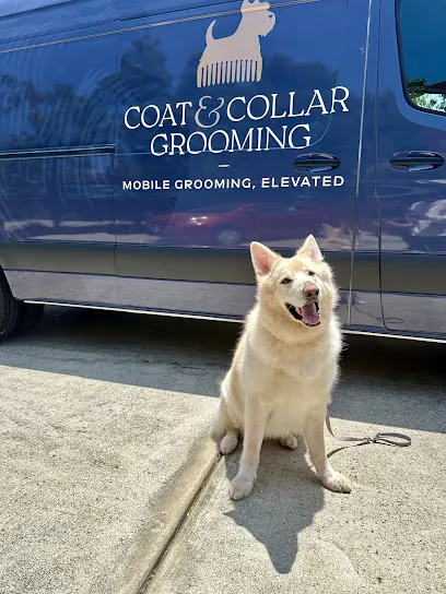 Coat & Collar Mobile Grooming — photo from their website