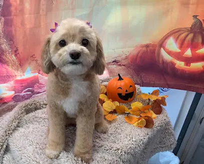 A Bubbly Tail Mobile Pet Spa — photo from their website