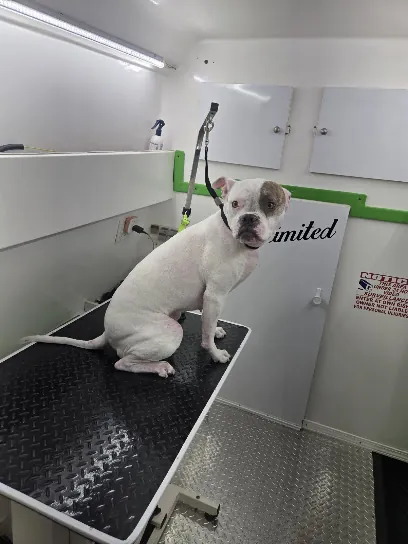 Unlimited Mobile Grooming — photo from their website