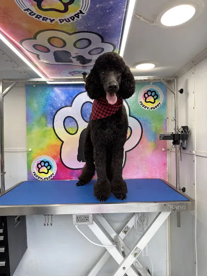 Furry Puppy Mobile Pet Grooming — photo from their website