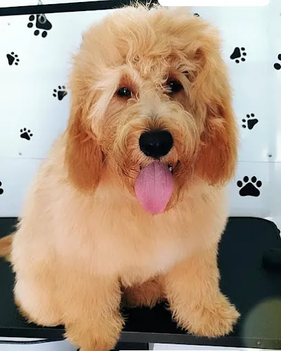 Di Stefano's Mobile Pet Grooming — photo from their website