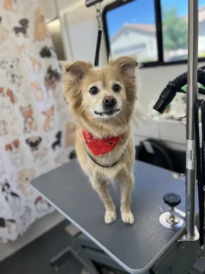 Muddy Mabel Mobile Grooming — photo from their website