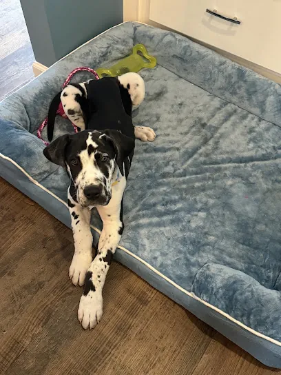 Bath on Board Mobile Dog Grooming — photo from their website