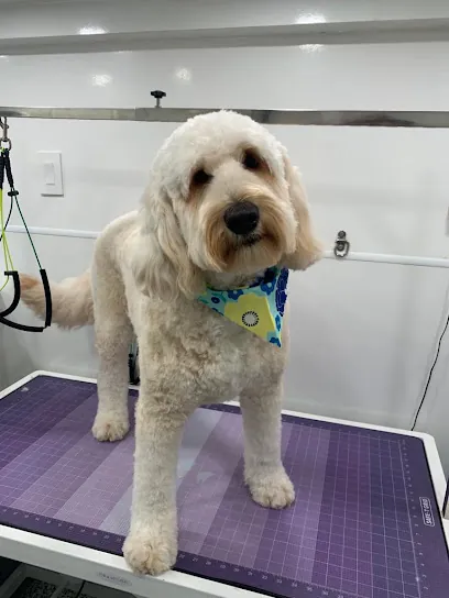 Lola's Mobile Dog Grooming — photo from their website