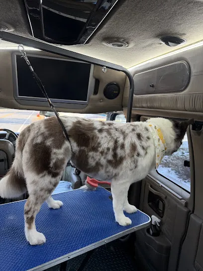 Royal Mobile Grooming — photo from their website