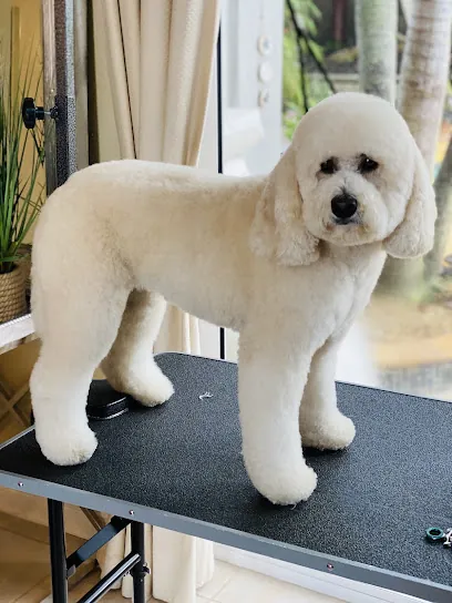 Angel Paws In-Home Grooming, LLC. — photo from their website