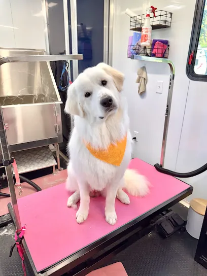 Amelia's Mobile Pet Salon — photo from their website