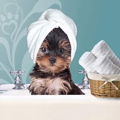 Happy Tails Mobile Dog Grooming Spa — photo from their website